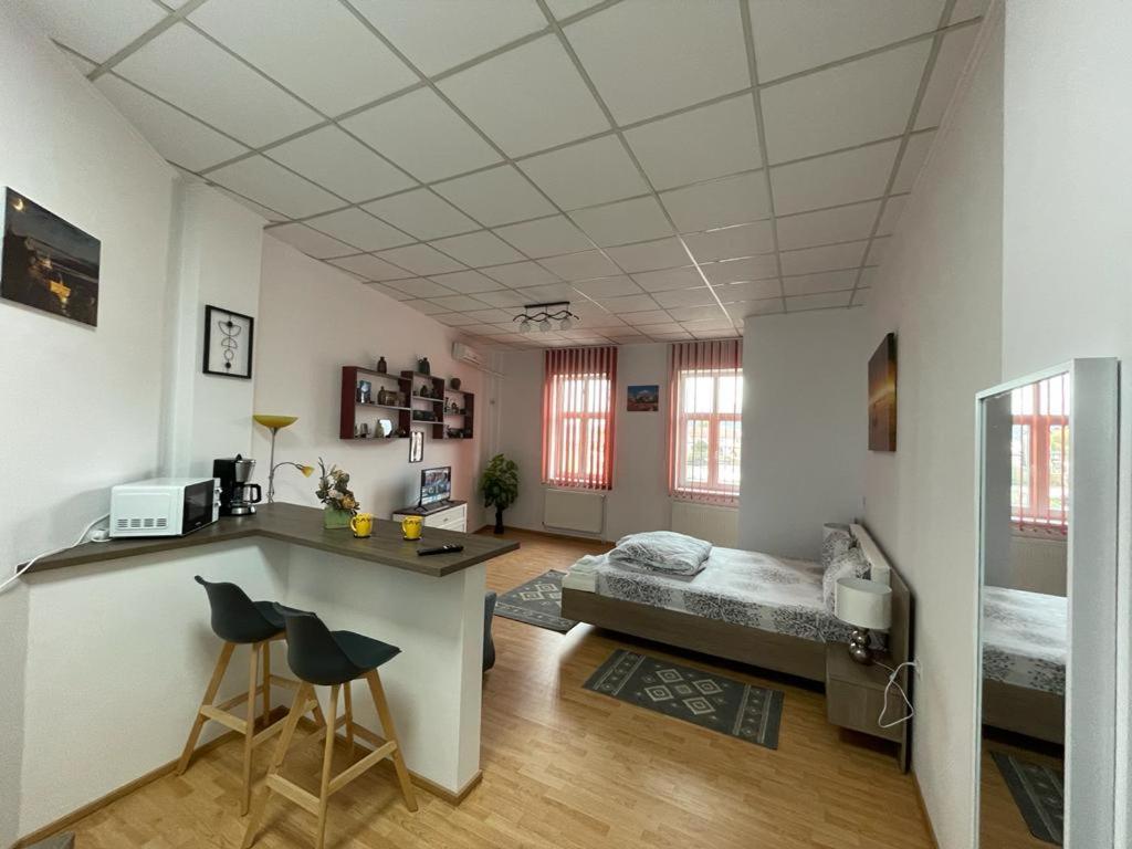 Panorama Studio Σιγκισοάρα Εξωτερικό φωτογραφία