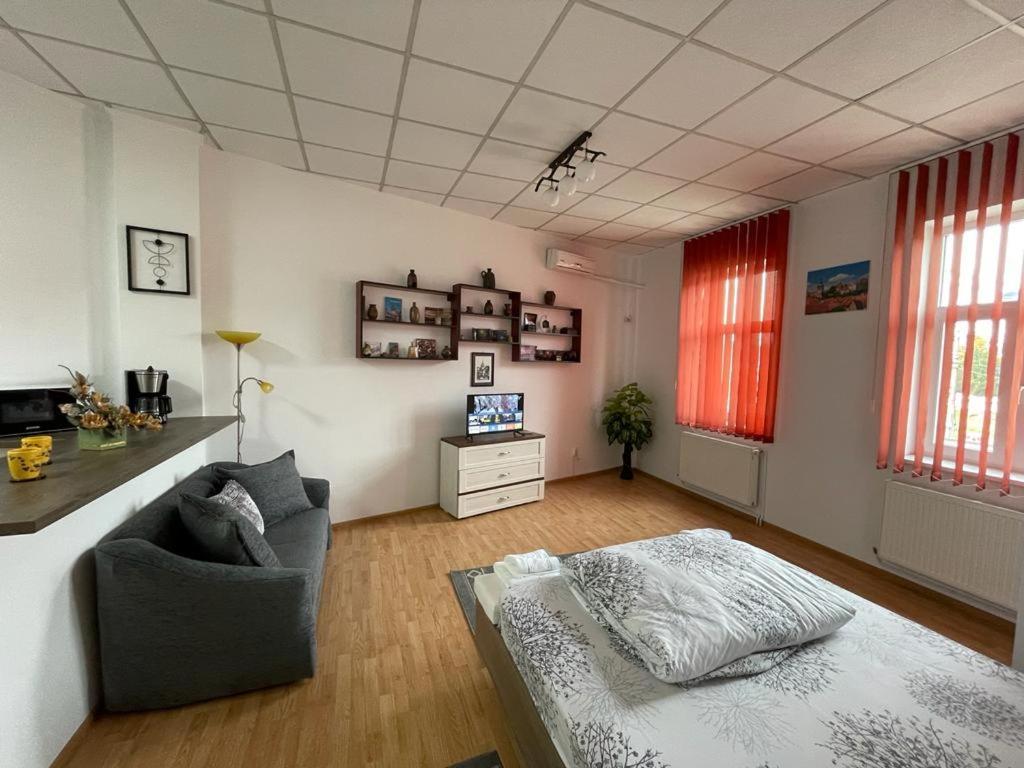 Panorama Studio Σιγκισοάρα Εξωτερικό φωτογραφία