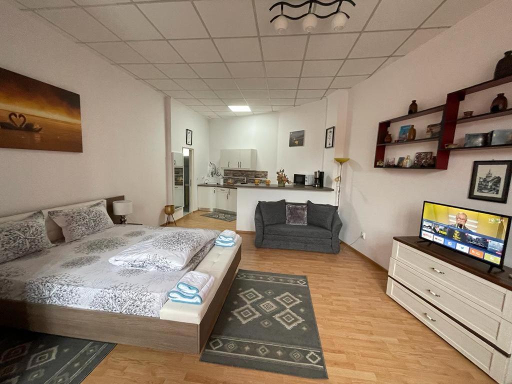 Panorama Studio Σιγκισοάρα Εξωτερικό φωτογραφία