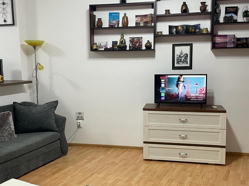 Panorama Studio Σιγκισοάρα Εξωτερικό φωτογραφία